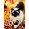 DIY Rectangle Cat Theme Diamond Painting Kits DIAM-PW0004-010V-1