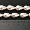 Electroplate Shell Pearl Beads Strands BSHE-G010-10x16mm-01-5