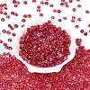 Transparent Colours Glass Seed Beads SEED-Q042-01A-A06-2