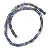 Natural Blue Spot Jasper Beads Strands GG-CBAEB22-A04-01-4