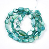 Natural White Shell Beads Strands SHEL-N036-21C-2