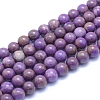 Natural Lepidolite/Purple Mica Stone Beads Strands G-L552H-09C-1