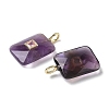 Natural Amethyst Pendants G-I391-03G-02-2