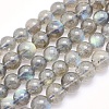 Natural Labradorite Beads Strands G-O166-08-6mm-1
