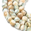 Natural Seashell Shell Beads Strands SH-CBAFEDD-01A-4