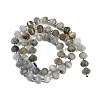 Natural Labradorite Beads Strands G-G182-B02-02-3