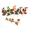 Crafans 30Pcs 6 Colors Artificial Plastic Maple Leaf AJEW-CF0001-03-9