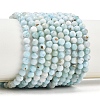 Natural Larimar Beads Strands G-B175-D08-4mm-2
