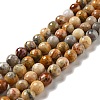 Natural Crazy Lace Agate Beads Strands G-E571-36C-1