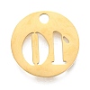 304 Stainless Steel Pendants STAS-F233-10-G-2