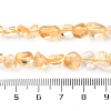 Natural Citrine Beads Strands G-P497-01C-39-5