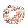Natural Cultured Freshwater Pearl Beads Strands PEAR-N014-09A-3