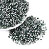 Baking Paint Glass Seed Beads SEED-Q041-03A-04-1