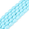 Opaque Solid Color Glass Beads Strands GLAA-N071-01A-C06-1