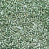 11/0 Grade A Glass Seed Beads SEED-S030-1217-2