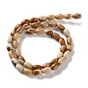 Natural Picture Jasper Beads Strands G-I369-B04-01-3