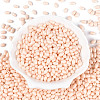 Baking Paint Glass Seed Beads SEED-T007-15C-1