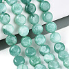 Dyed Natural White Jade Beads Strands G-T143-16D-1