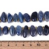 Natural Blue Aventurine Beads Strands G-Z091-A43-5