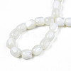 Natural Trochid Shell/Trochus Beads Strands SSHEL-N027-130B-01-4