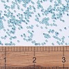 MIYUKI Delica Beads SEED-JP0008-DB1209-4
