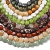 Mixed Gemstone Strands G364-5