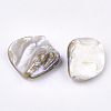 Freshwater Shell Beads LS-X-SSHEL-T005-11-3