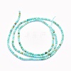Natural Turquoise Beads Strands G-O166-17-2mm-2