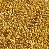FGB Transparent Glass Seed Beads SEED-N013-01A-08-3