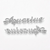 Silver Color Plated Alloy Cabochons PALLOY-WH0068-08S-K-1