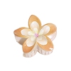 Resin Claw Hair Clips PW-WGCCCD9-03-1