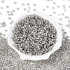 Silver Lined Glass Seed Beads SEED-T007-18A-02-2