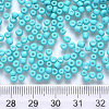 6/0 Baking Paint Glass Round Seed Beads SEED-S036-01C-13-3