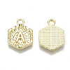 Alloy Pendants PALLOY-N157-003A-NR-3