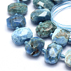 Natural Apatite Beads Strands G-K223-49A-3