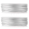 2 Rolls Matte Aluminum Wire AW-SC0001-01-1