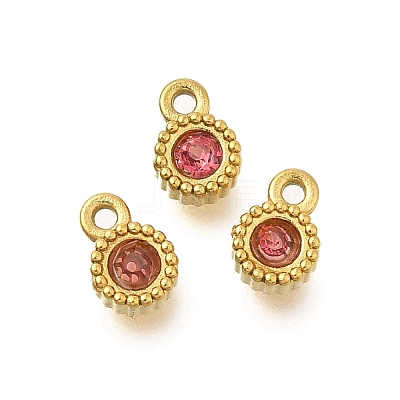 304 Stainless Steel Micro Pave Cubic Zirconia Charms STAS-U027-02G-08-1