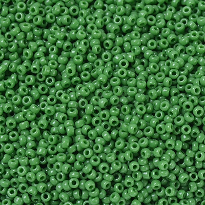 MIYUKI Round Rocailles Beads X-SEED-G007-RR0411-1