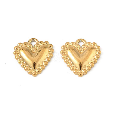 304 Stainless Steel Charms STAS-P396-06G-1