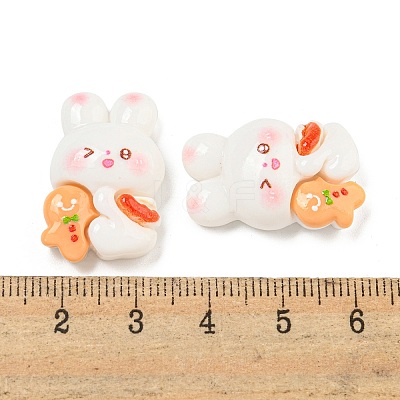 Christmas Rabbit Theme Opaque Resin Decoden Cabochons CRES-B022-04A-1