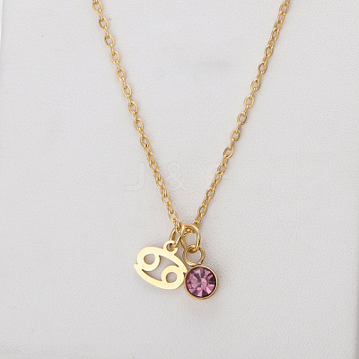304 Stainless Steel Amethyst Rhinestone Birth Stone Constellation Pendant Necklaces FS-WG76580-06-1