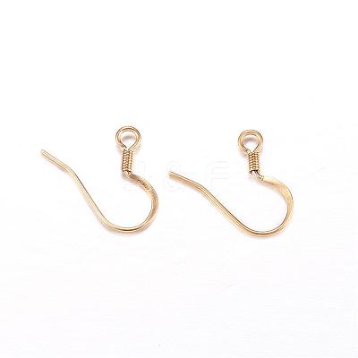 304 Stainless Steel French Earring Hooks STAS-N0013-15-1