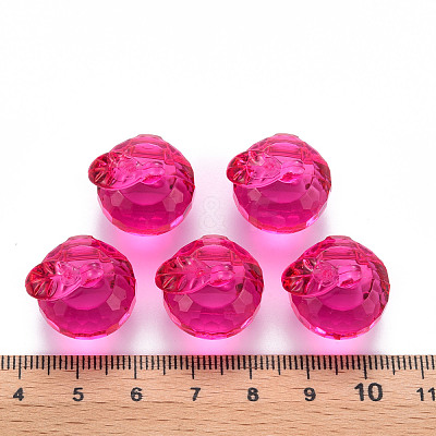 Transparent Acrylic Pendants TACR-T024-05B-906-1