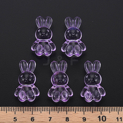 Transparent Acrylic Beads LS-MACR-S373-81-B05-1