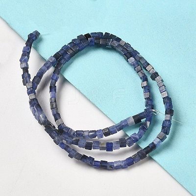 Natural Sodalite Beads Strands G-B064-A27-1