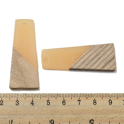 Resin & Walnut Wood Pendants RESI-XCP0002-16C-1