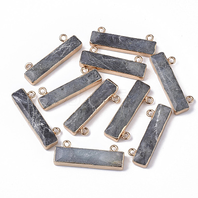 Natural Labradorite Charms X-G-S359-012B-1