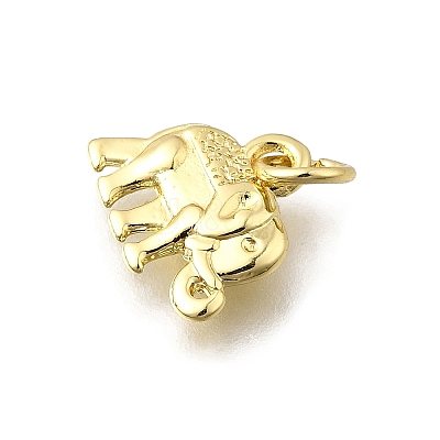 Brass Pendants KK-F899-10G-1