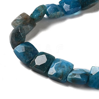 Natural Apatite Beads Strands G-C109-A13-02-1