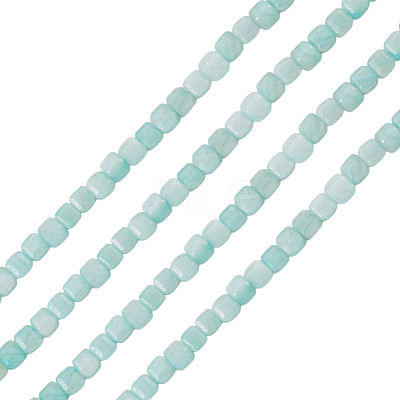 1 Strand Natural Freshwater Shell Dyed Beads Strands SHEL-TA0001-44A-1